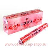  ѻ (Hem Lotus incense sticks).