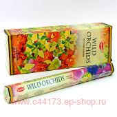   ߻ (Hem Wild Orchids).