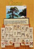 Руны из сосны (25 рун + инструкция)